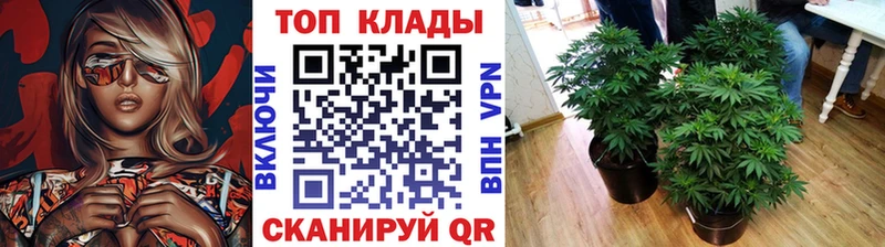 Сколько стоит Оха Alpha PVP  Гашиш  Каннабис  Амфетамин  Псилоцибиновые грибы  КОКАИН 